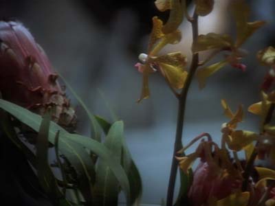 Star Trek: Deep Space Nine Screencaps "The Alternate" (S2:E12)
