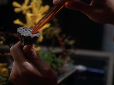 Star Trek: Deep Space Nine Screencaps "Armageddon Game" (S2:E13)
