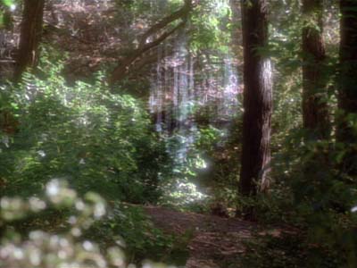 Star Trek: Deep Space Nine Screencaps "Paradise" (S2:E15)