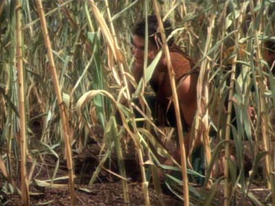 Star Trek: Deep Space Nine Screencaps "Paradise" (S2:E15)
