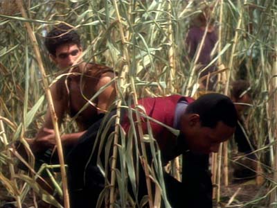 Star Trek: Deep Space Nine Screencaps "Paradise" (S2:E15)