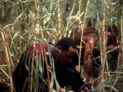 Star Trek: Deep Space Nine Screencaps "Paradise" (S2:E15)