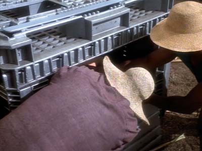 Star Trek: Deep Space Nine Screencaps "Paradise" (S2:E15)