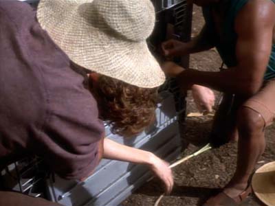 Star Trek: Deep Space Nine Screencaps "Paradise" (S2:E15)