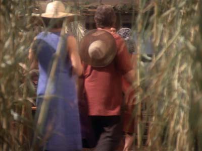 Star Trek: Deep Space Nine Screencaps "Paradise" (S2:E15)