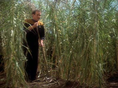 Star Trek: Deep Space Nine Screencaps "Paradise" (S2:E15)