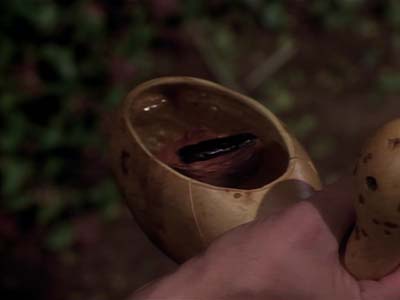 Star Trek: Deep Space Nine Screencaps "Paradise" (S2:E15)