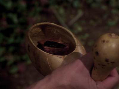 Star Trek: Deep Space Nine Screencaps "Paradise" (S2:E15)