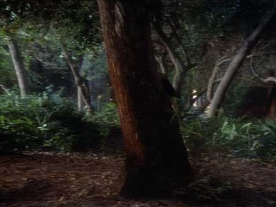 Star Trek: Deep Space Nine Screencaps "Paradise" (S2:E15)