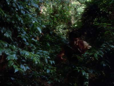 Star Trek: Deep Space Nine Screencaps "Paradise" (S2:E15)