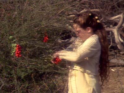 Star Trek: Deep Space Nine Screencaps "Shadowplay" (S2:E16)