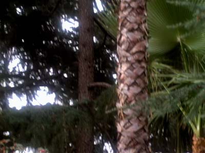 Star Trek: Deep Space Nine Screencaps "Blood Oath" (S2:E19)