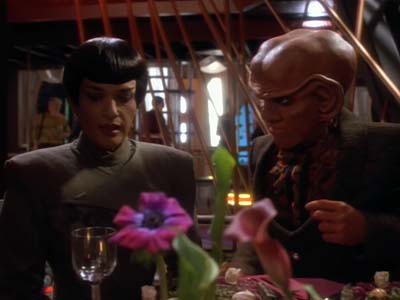 Star Trek: Deep Space Nine Screencaps "The Maquis, Part I" (S2:E20)