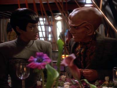 Star Trek: Deep Space Nine Screencaps "The Maquis, Part I" (S2:E20)