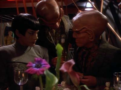 Star Trek: Deep Space Nine Screencaps "The Maquis, Part I" (S2:E20)
