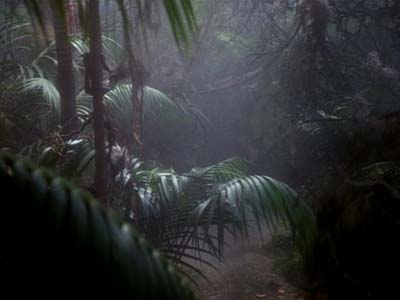 Star Trek: Deep Space Nine Screencaps "The Maquis, Part II" (S2:E21)