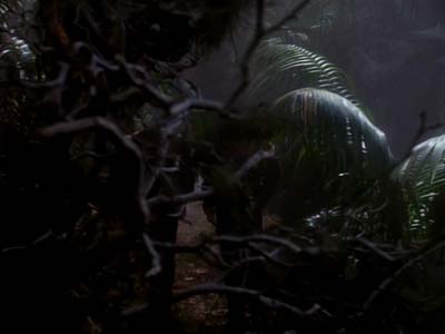 Star Trek: Deep Space Nine Screencaps "The Maquis, Part II" (S2:E21)
