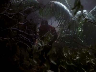 Star Trek: Deep Space Nine Screencaps "The Maquis, Part II" (S2:E21)