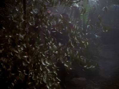 Star Trek: Deep Space Nine Screencaps "The Maquis, Part II" (S2:E21)