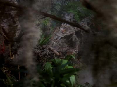 Star Trek: Deep Space Nine Screencaps "The Maquis, Part II" (S2:E21)