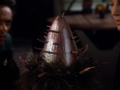 Star Trek: Deep Space Nine Screencaps "The Wire" (S2:E22)