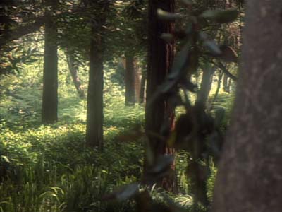 Star Trek: Deep Space Nine Screencaps "The Jem'Hadar" (S2:E26)