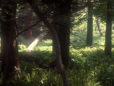 Star Trek: Deep Space Nine Screencaps "The Jem'Hadar" (S2:E26)