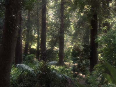Star Trek: Deep Space Nine Screencaps "The Jem'Hadar" (S2:E26)