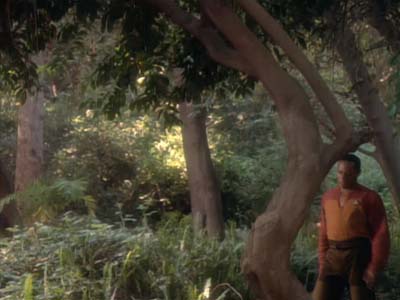 Star Trek: Deep Space Nine Screencaps "The Jem'Hadar" (S2:E26)