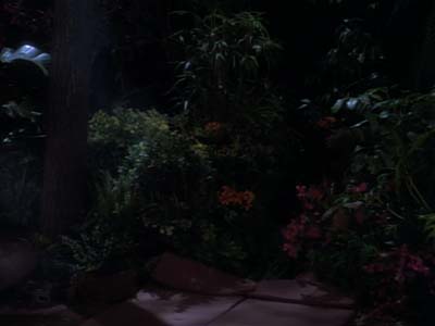 Star Trek: Deep Space Nine Screencaps "The Jem'Hadar" (S2:E26)