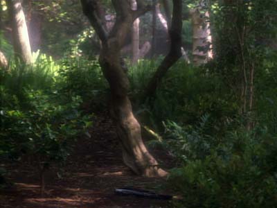 Star Trek: Deep Space Nine Screencaps "The Jem'Hadar" (S2:E26)