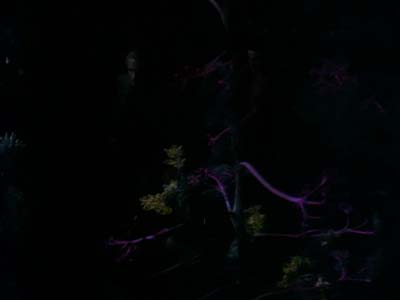 Star Trek: Deep Space Nine Screencaps "The Search, Part I" (S3:E1)