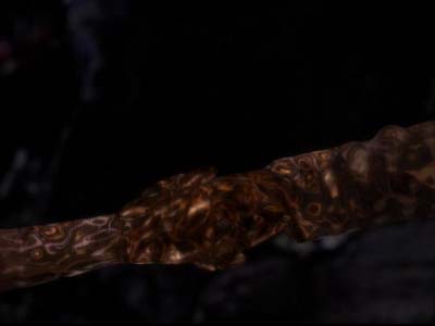 Star Trek: Deep Space Nine Screencaps "The Search, Part II" (S3:E2)