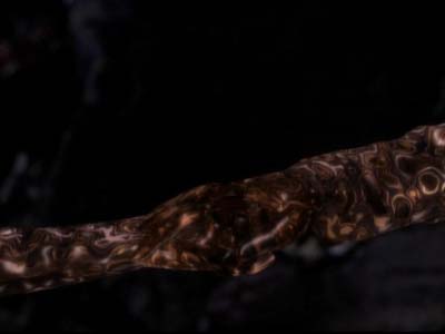 Star Trek: Deep Space Nine Screencaps "The Search, Part II" (S3:E2)