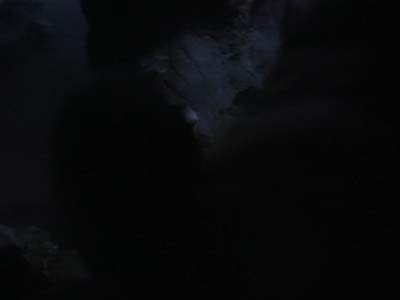 Star Trek: Deep Space Nine Screencaps "Improbable Cause" (S3:E20)