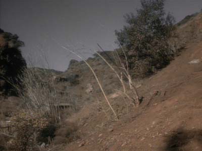 Star Trek: Deep Space Nine Screencaps "Shakaar" (S3:E24)