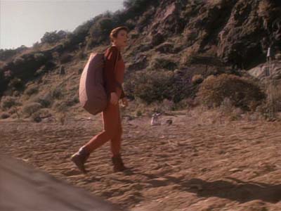 Star Trek: Deep Space Nine Screencaps "Shakaar" (S3:E24)