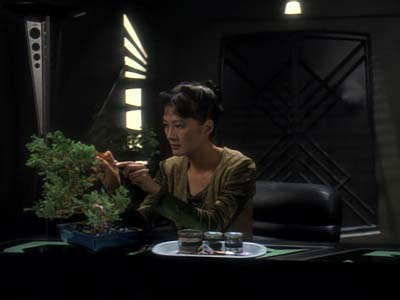 Star Trek: Deep Space Nine Screencaps "The House of Quark" (S3:E3)