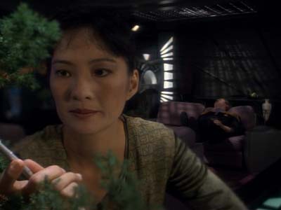 Star Trek: Deep Space Nine Screencaps "The House of Quark" (S3:E3)