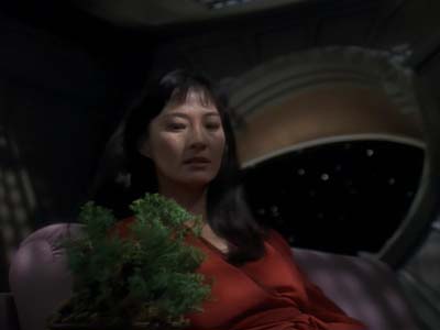 Star Trek: Deep Space Nine Screencaps "The House of Quark" (S3:E3)