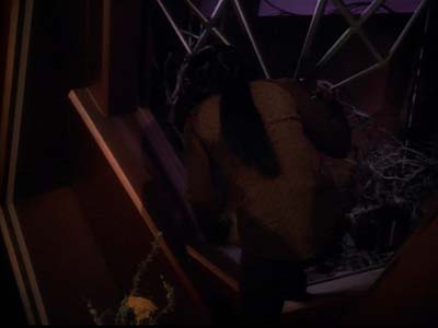 Star Trek: Deep Space Nine Screencaps "Second Skin" (S3:E5)