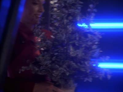 Star Trek: Deep Space Nine Screencaps "The Abandoned" (S3:E6)