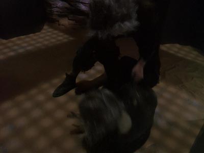 Star Trek: Deep Space Nine Screencaps "Hard Time" (S4:E19)