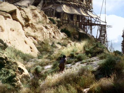 Star Trek: Deep Space Nine Screencaps "The Quickening" (S4:E24)