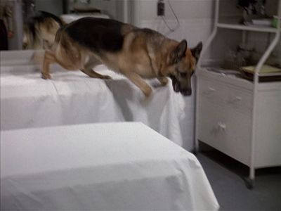 Star Trek: Deep Space Nine Screencaps "Little Green Men" (S4:E8)