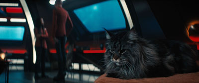 Star Trek: Discovery ScreenCaps "Species Ten-C" (S4:E12)