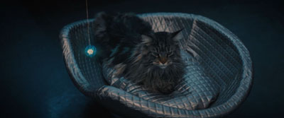 Star Trek: Discovery ScreenCaps "...But to Connect" (S4:E7)
