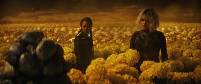 Star Trek: Discovery ScreenCaps "Life, Itself" (S5:E10)