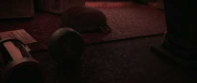 Star Trek: Prodigy Screencaps "A Tribble Called Quest" (S2:E13)