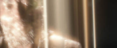 Star Trek: Strange New Worlds ScreenCaps "The Broken Circle" (S2:E1)